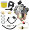 Hoypeyfiy 16100-ZF6-V01 Carburetor Ignition Coil Air Filter Kit Replacement for Honda GX390 GX340 13HP 11HP GX340U1 GX340R1 GX340K1 WT40XK1 WT40XK2 Generator Lawnmower Engines with Spark Plug Gaskets