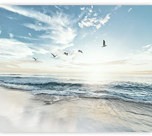 murando Fotomurales autoadhesivo Mar Playa 343x256 cm Papel Pintado Decoración de Pared Murales Pegatina decorativos adhesivos 3d Fotográfico Cielo Pájaros Paisaje Naturaleza b-B-10023-a-a