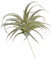 QUARKZMAN 1pz Artificiale Piante Succulente Finte Ananas Erba 5 Grandi Finte Piante Succulente Non Vaso Reali Tocco per Casa Matrimonio Giardino Ufficio Esterno Floreale Luce Verde