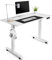 di volio Höhenverstellbarer Schreibtisch Amone, 120 x 60 cm, Computertisch fürs Home-Office, elektrischer Bürotisch bis 80 kg belastbar (Weiß)