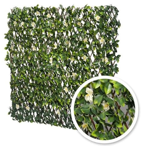 Treillis Extensible Jasmin Fleuri Hauteur 1 mètre Largeur 2 mètres