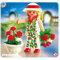 Playmobil - 4673 - Dame Aux Roses