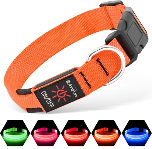 Illumifun LED Dog Collar, USB Rechargeable Light Up Dog Collar Glow in the Dark, Pet Safety Collar Lights for Night Walking Camping (Orange, Small)