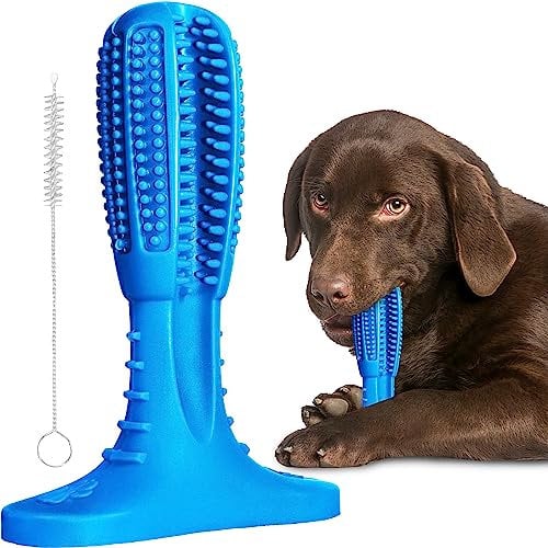 Dog Toys (UK Company), Tough Durable Dog Chew Toys, Outdoor Interactive Strong Dog Toothbrush Toy, Dogs Teeth Cleaning Toys, Puppy Dog Birthday Gifts