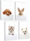 mojoliving Bilder Kinderzimmer jungen Baby Zimmer Poster Set Wandbilder Kinderzimmer mädchen Babyzimmer Deko Bilder für Baby Zimmer Dekoration (Set Welpen Hund Katze Kaninchen)