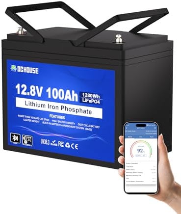 DCHOUSE Batteria al litio LiFePO4 da 12V, 100Ah, protezione a bassa temperatura, batteria al litio di gruppo 31, fino a 15000 cicli, 100A BMS, perfetta per motori a traino, marina, barca, solare
