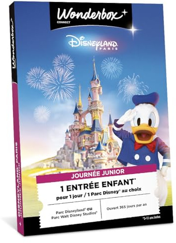 WONDERBOX Connect - Coffret Cadeau - Disneyland Paris - pour 1 Enfant | 1 entrée pour 1 enfant - parc Disneyland ou Walt Disney Studios - Validité 27 mois