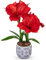 Arborus Kunstblumen Rot Künstliche Blumen im Keramik Topf 46 cm Fake Blumen Amaryllis Künstlich im Topf Dekoblumen für Tisch Fensterbank Balkon Deko Modern Rustikal Vintage Boho Zimmer Büro Hotel