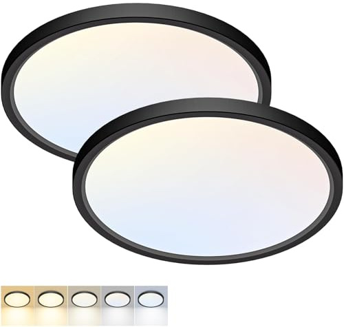 Fairdeer 2 Pack LED Flush Mount Ceiling Light,12Inch 24W,3000K/3500K/4000K/5000K/6500K 5 Color Temperatures Ceiling Light Fixture for Kitchen Porch Hallway Bedroom Bathroom and Closet,Black