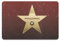 Partycards personalisierte Fußmatte 67 x 44 cm, mit Namen - Motiv Walk of Fame Stern, personalisiert mit Namen- rutschfest und Langlebig, Fussmatte innen, Einzugsgeschenke Wohnung, Wohnungs Zubehör