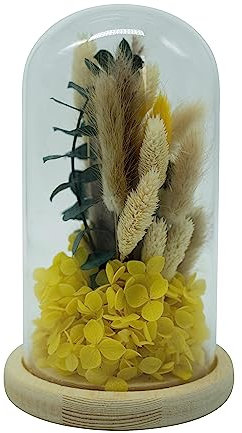 HEITMANN DECO Trockenblumen in Glasglocke, Natur/gelb/grün, ca. 12x12x20 cm
