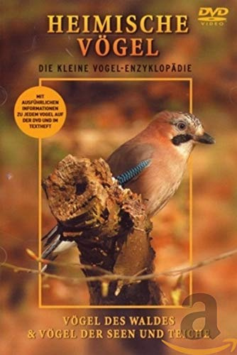 Heimische Vögel - Vögel des Waldes & Vögel der S