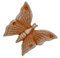 ANTICO MESTIERE Farfalla in Terracotta 10CM APPENDIBILE Decorazione