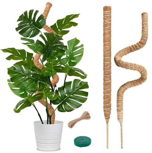 2 Stück 70cm Moosstab Monstera, Biegsame Monstera Rankhilfe für Pflanzen, mit Zubehör, Rankhilfenfür Kletterpflanzen, für Creeper Pflanzen Wachsen Nach Oben