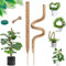 2 Stück 70cm Moosstab Monstera, Biegsame Monstera Rankhilfe für Pflanzen, mit Zubehör, Rankhilfenfür Kletterpflanzen, für Creeper Pflanzen Wachsen Nach Oben