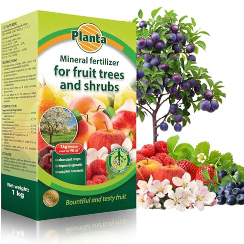 Fruit Tree & Berry Bush Mineral Fertilizer NPK Balanced 1kg Covers 40m²