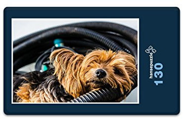 hansepuzzle 35364 Tierwelt - Yorkshire Terrier, 130 Teile in hochwertiger Kartonbox, Puzzle-Teile in wiederverschliessbarem Beutel