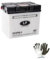 Compatible avec BMW K 100 LT 1000 dal 1983 al 1992 Batterie LP Y60-N30L-A (IDENTIQUE YUASA 53030) CCA 300 FOURNIE COMPLÈTE Batteries Dry 30 AMPÈRE 12 Volt 187X128X167MM