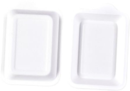 Didiseaon Piatti di Carta Monouso Bianchi 100 Pezzi per Frutta