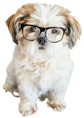 G002 Dog Pet Clear Lens Costume Glasses Small to Medium Breeds 12LBS~30LBS Prop Photoshoot Sunglasses (80s Black-Clear)