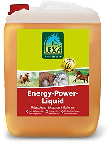 Energy-Power-Liquid 2,5 l Kanister