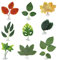 LAMXD Lot de 9 coussins de hamac en forme de feuilles de lit Betta pour poissons Betta Accessoires pour plantes pour un repos léger et réaliste simulant l'habitat