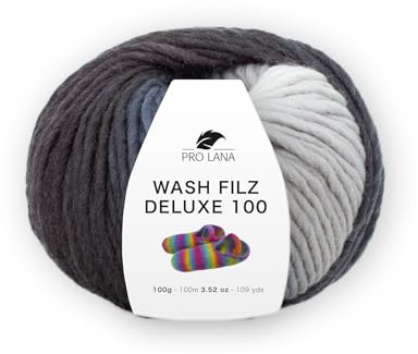 Pro Lana Wash Filz Deluxe 1007, Filzwolle mit Farbverlauf, Wolle zum Strickfilzen, Filzwolle zum Stricken und Filzen in der Waschmaschine, 100g, 100m