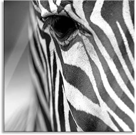 Pixxprint Glasbild, Wandbild auf Echtglas, Zebra Nahaufnahme, 40x40 cm, inkl. Aufhängung und Abstandshalter