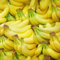 150 Pcs Bananensamen Winterhart - Säulenobstbäume Hochbeet Balkon Exotische Samen Bananenbaum - Bananen Samen - Bonsai Bäumchen Kaufen Winterfeste Pflanzen Für Balkon Obst Frisch Gartenarbeit