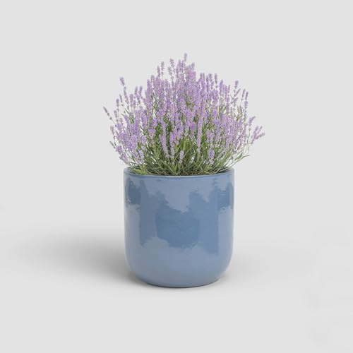 Artevasi Jupiter, Keramischer Blumentopf mit glasiertem Finish, 25cm, Blau