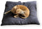 4L Textil ZOE Hundekissen Cord Hundebett Cord mittelgroße Hunde Hundekissen Cord waschbar Hundebett aus Cord Hundebett abziehbarer Bezug (80x60 cm, Graphit(Stripes))