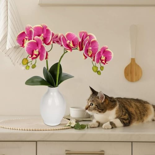Pumixiy Orchidea artificiale in vaso, grande pianta finta con due steli, decorativa, per casa e ufficio (viola)