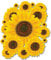 Aurum92 Sunflower Stickers