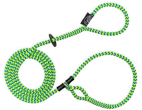 Harness Hundeleine mit Geschirr.