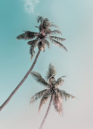 Komar Miami Palms - Größe: 50 x 70 cm, Wandbild, Poster, Kunstdruck (ohne Rahmen), PURE Boutique