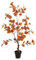 Zstar Árbol de eucalipto Artificial Grande, 90 cm, Plantas Artificiales, árbol de ficus en Maceta, Planta de Interior Grande, árbol Artificial en Maceta, Planta Realista para salón, Dormitorio
