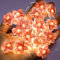 ENLACE LED Lichterkette Kirschblüten, 2M 20 LED Lichterkette Blumen Girlande, Lichterketten Innen Batterie, Blumen Girlande Dekorative Lichter für Frühlingsdeko, Hochzeits, Partys, Garten