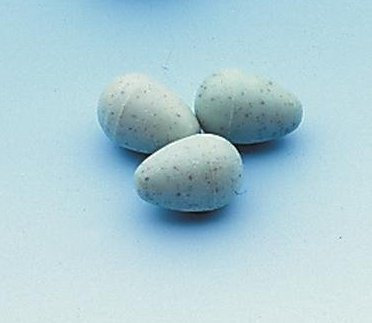 Nobby Nisteier für Kanarienvögel