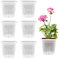 TSLBW 6 macetas transparentes para orquídeas, macetas de plástico transparente con agujeros de drenaje, suculentas, plantas de interior (cuadradas)