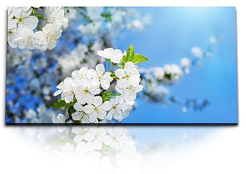 Paul Sinus Kunstdruck Bilder 120x60cm Baumblüten Blüten blauer Himmel Sonnenschein Frühling