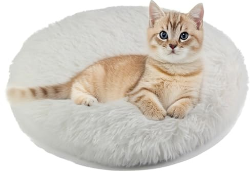 RICHRAIN Katzenkissen Rund,Plüschkissen Katzen Hunde, rund, warme Matte | RICHRAIN Katzenkissen Rund,Plüschkissen für Katzen und Hunde, rund, warme Matte,