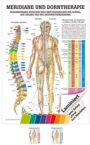 Rüdiger Meridiane u. Dorn Lehrtafel Anatomie 100x70 cm medizinische Lehrmittel