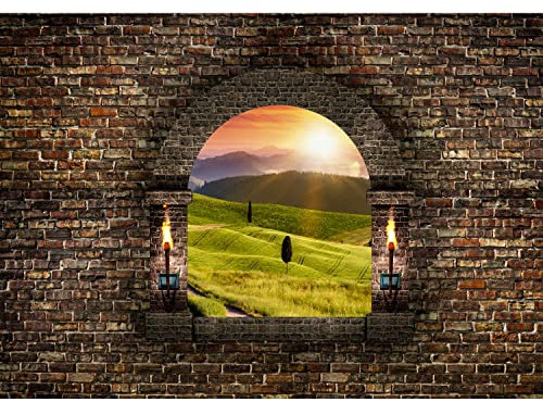 Runa Art Papier Peint panoramique fenêtre de paysage naturel 352 x 250 cm Toison Mur XXL Moderne Décoration Murale Salon Chambre á Coucherr Bureau Salle Marron vert 9025011b