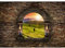 Runa Art Fototapete Fenster Natur Landschaft 352 x 250 cm Vlies Tapeten XXL Moderne Wandtapete Wohnzimmer Schlafzimmer Braun Grün 9025011b