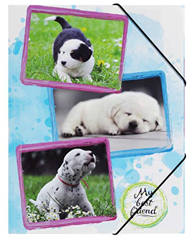Pagna 21672-15 Gummizugmappe A3 Hunde (Dokumentenmappe, PP, Eckspanngummi)
