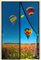 Fliegengitter Insektenschutz, 270x230cm Fenster Rollo Insektenschutzrollo Ohne Bohren Kinderleichte Klebemontage, Schwarz 1995-Größe