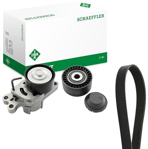 INA 529 0109 10 Keilrippenriemensatz 1560mm 6-Rippenanzahl 1611422980 1611424580 5750GY