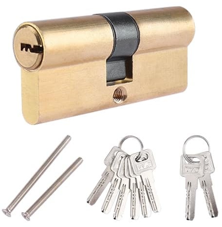 ORTAVA Cylindre de serrure 32,5/32,5 mm, longueur totale 65 mm, double cylindre profilé avec deux vis, combinable pour tous les types de portes