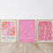 Dittelle Henri Matisse Wandkunst, Poster und Drucke, errötendes Lachsrosa, Leinwandgemälde, abstrakte Linienbilder für Wohnzimmerdekoration, 50 x 70 cm, 3 Stück, rahmenlos