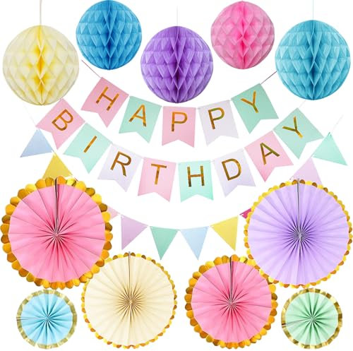 Pastel Birthday Party Decorations, Pastel Birthday Decorations Kit, Macaron Happy Birthday Banners Hanging Paper Fans Honeycomb for Birthday Party Decoration